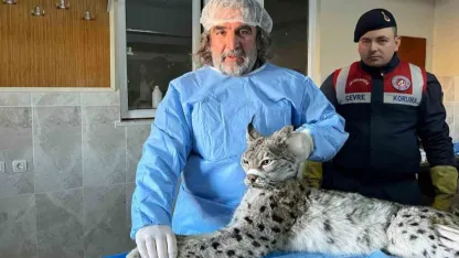 Van YYÜ Yaban Hayvanları Koruma ve Rehabilitasyon Merkezi Müdürü Prof. Dr. Lokman Aslan: "İnsan-yaban hayvanı teması biyogüvenlik açısından ciddi risk taşıyor"