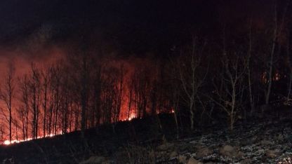 Erzurum Oltu’da örtü yangını korkuttu