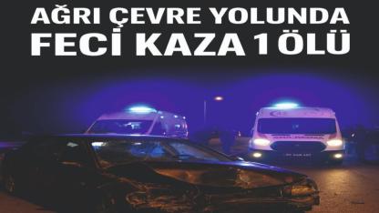Ağrı Çevre Yolunda Feci Kaza