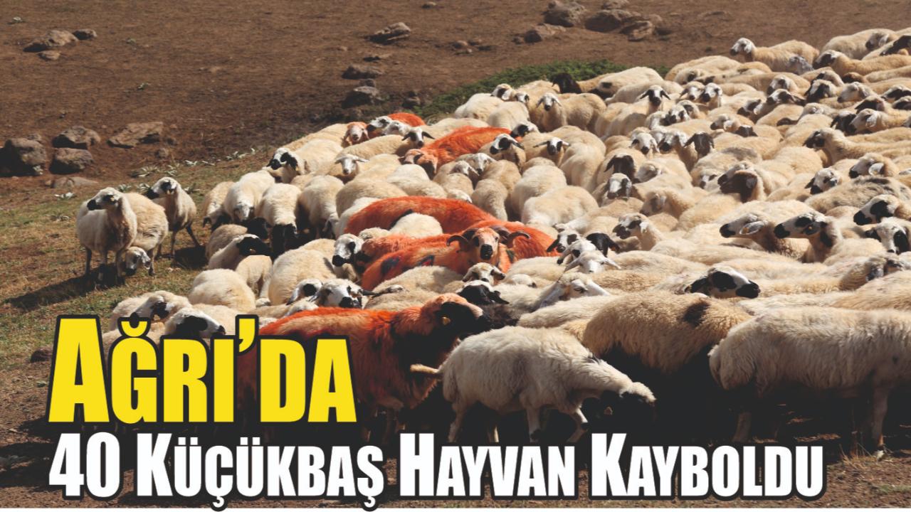 Ağrı’da 40 Küçükbaş Hayvan Kayboldu