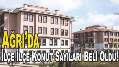 Ağrı’da İlçe İlçe Konut Sayıları Beli Oldu!