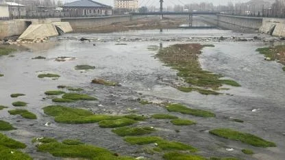 Ağrı’da Murat Nehri Yeşil Dokusu Dikkat Çekiyor