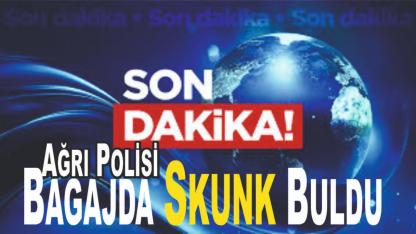 Ağrı’da otobüs bagajındaki yangın tüplerinden 8 kilo skunk çıktı (Videolu Haber)