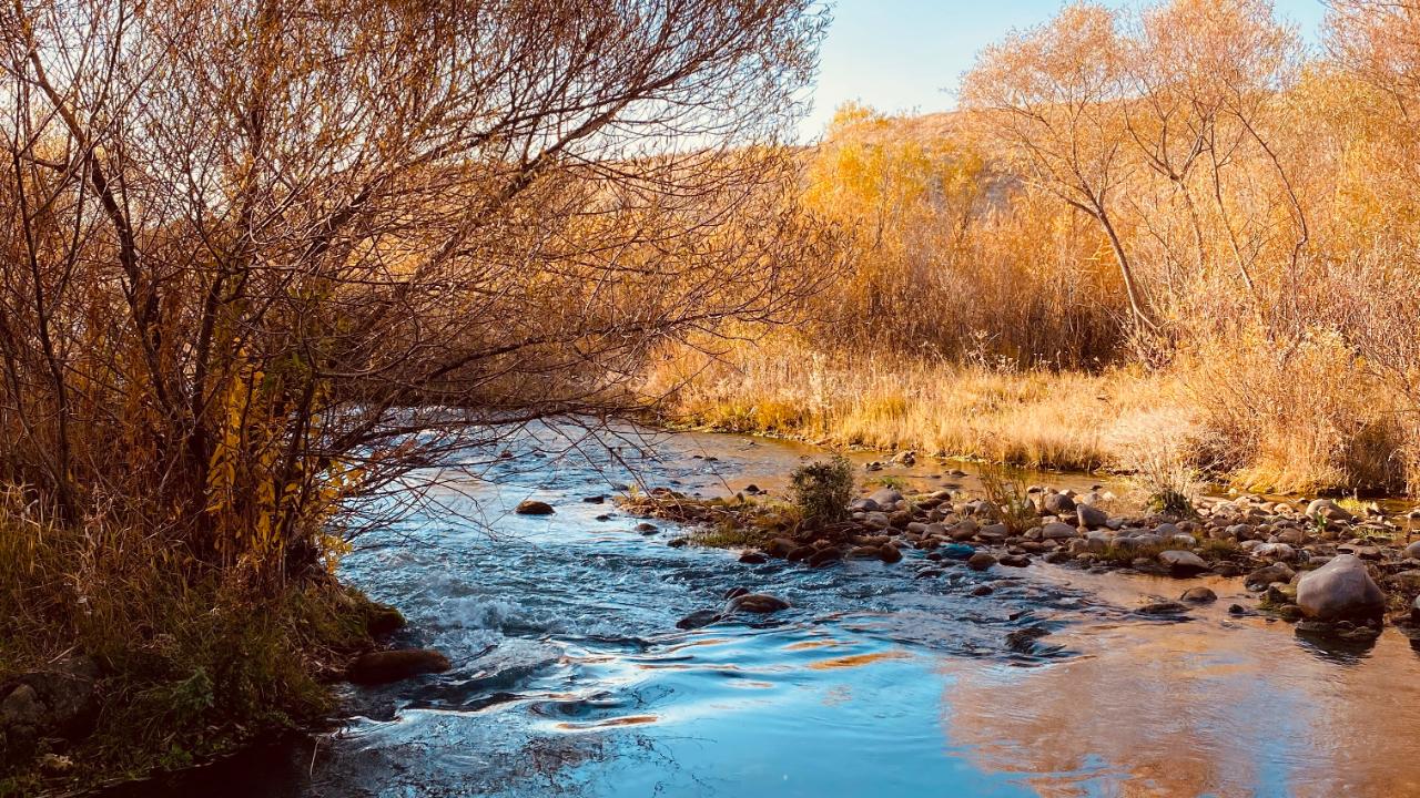 Ağrı’da Sonbahar Güzelliği
