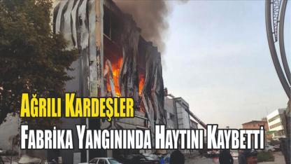 Ağrılı İki Kardeş, Dilovası’ndaki Kozmetik Fabrikası Yangınında Hayatını Kaybetti