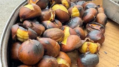 (Videolu Haber) Ağrı’nın Soğuk Havasında Tezgahların Vazgeçilmezi