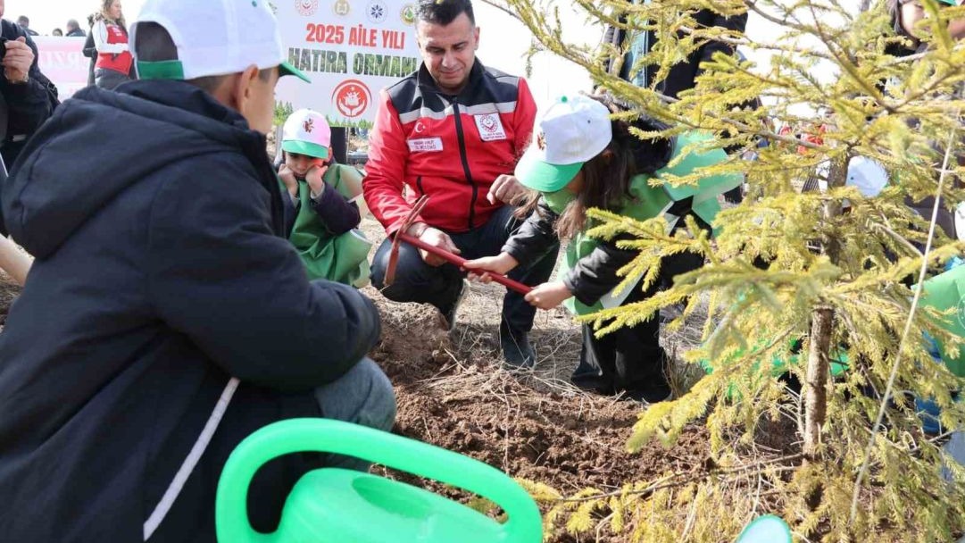 Aile Yılı’nda anlamlı buluşma: Aile Hatıra Ormanı’nda fidanlar toprakla buluştu