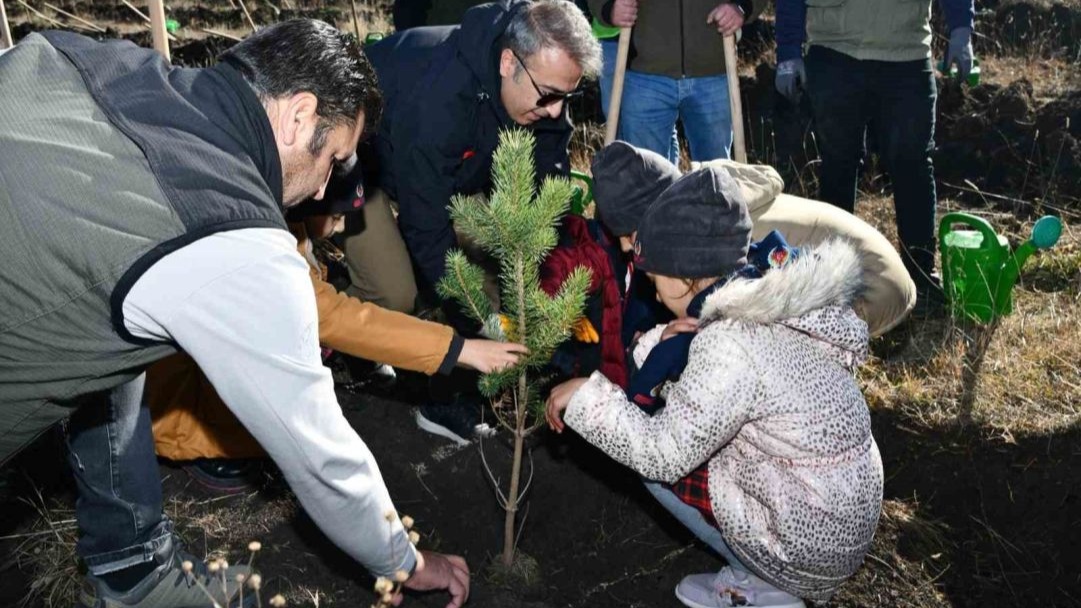 Ardahan’da öğrenciler fidan dikti