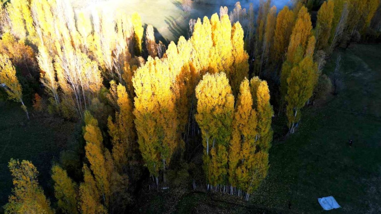 Bitlis’te seyrine doyulmaz sonbahar güzelliği