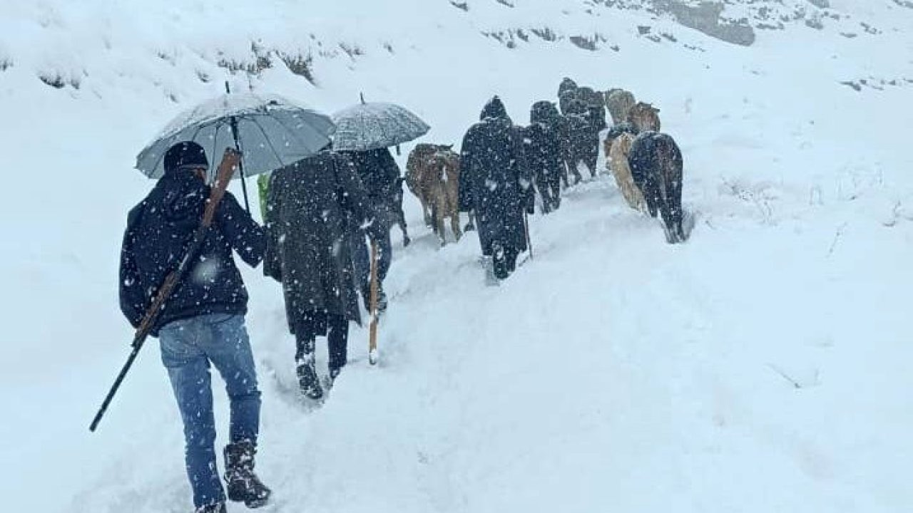 Dağda mahsur kalan sürü kurtarıldı