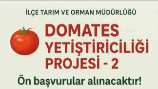 Domates Yetiştiriciliği projesi için ön başvurular başladı