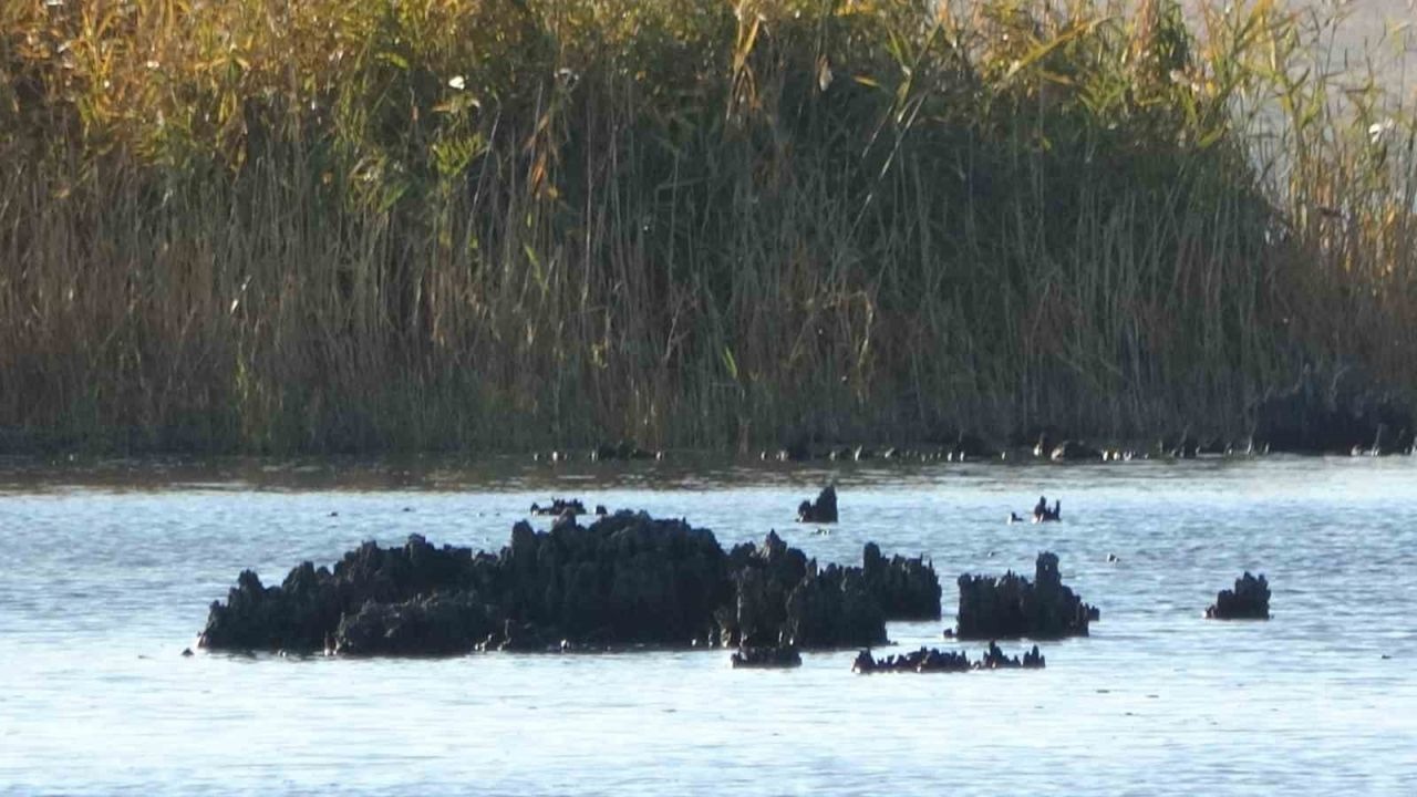 Erçek Gölü’nde su çekilince mikrobiyalitler ortaya çıktı