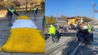 Erciş Sahil Yolu’na Trafik Güvenliği İçin Kasis Yapıldı