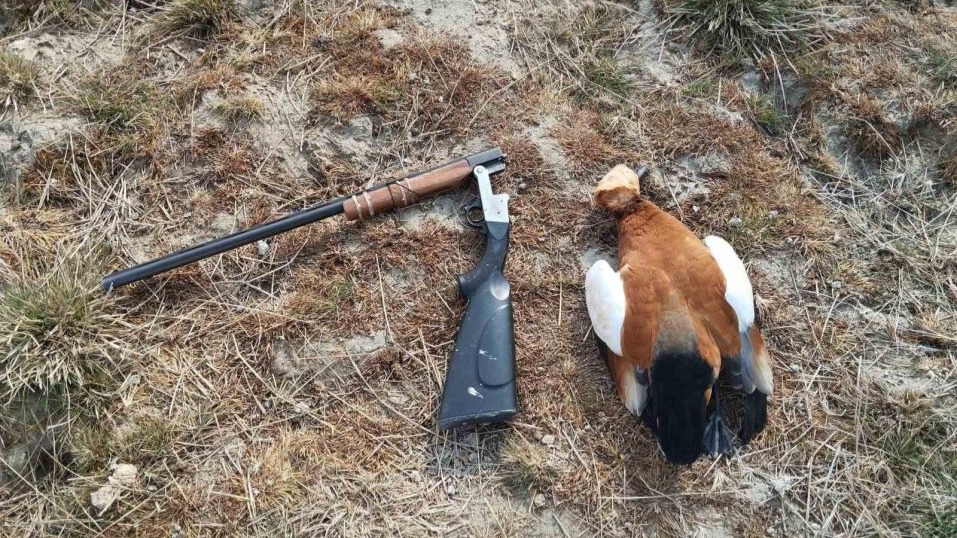 Erciş’te kaçak avcılıkla mücadele çalışması