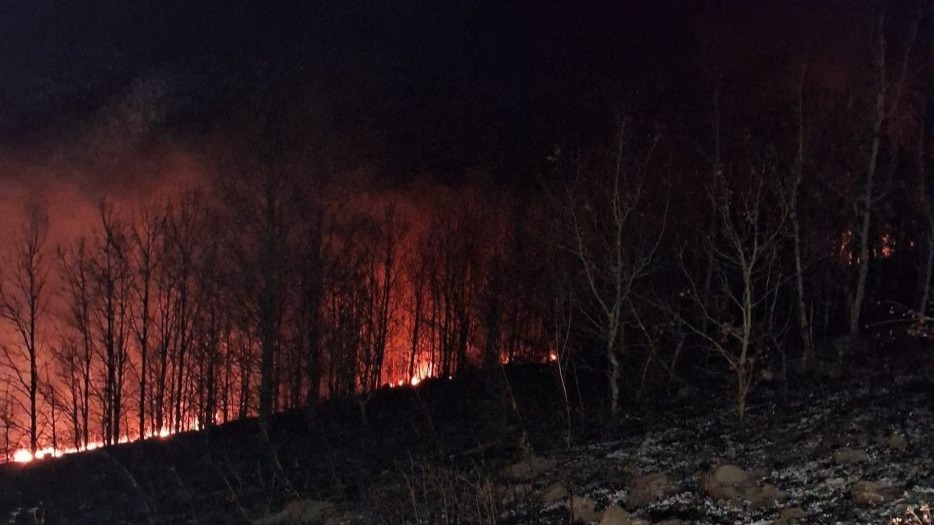 Erzurum Oltu’da örtü yangını korkuttu