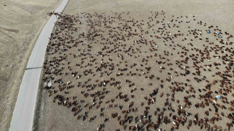 Göçerlerin zorlu yolculuğu başladı