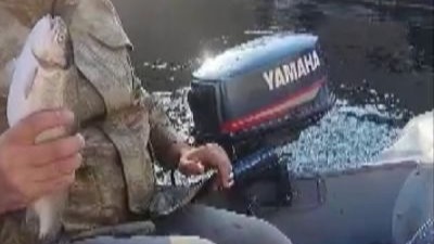 Malatya’da amatör balıkçı ile kedi arasındaki diyalog gülümsetti