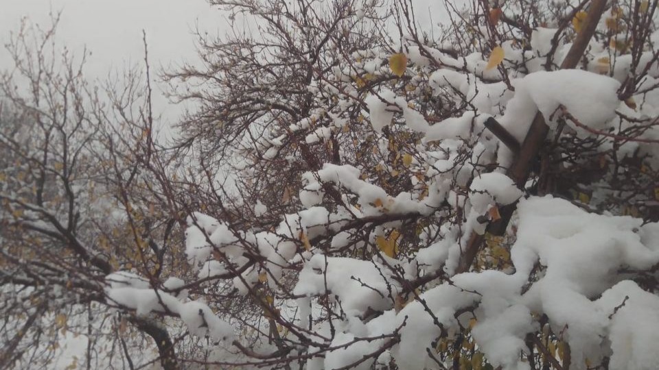 Malatya’da sağanak ve kar yağışı etkili oluyor