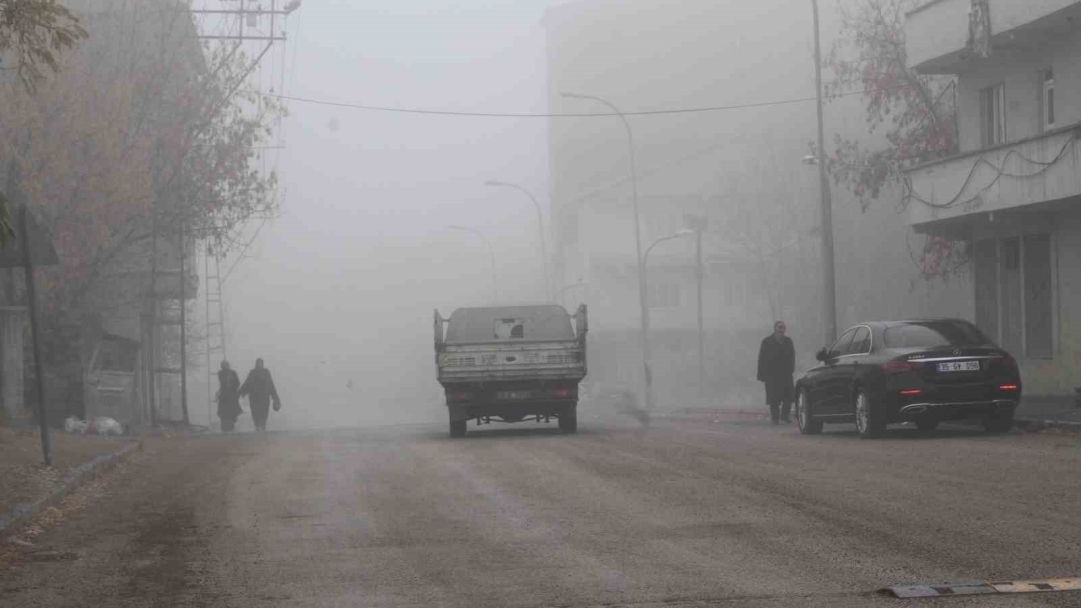 Muş Malazgirt’te sis etkili oldu