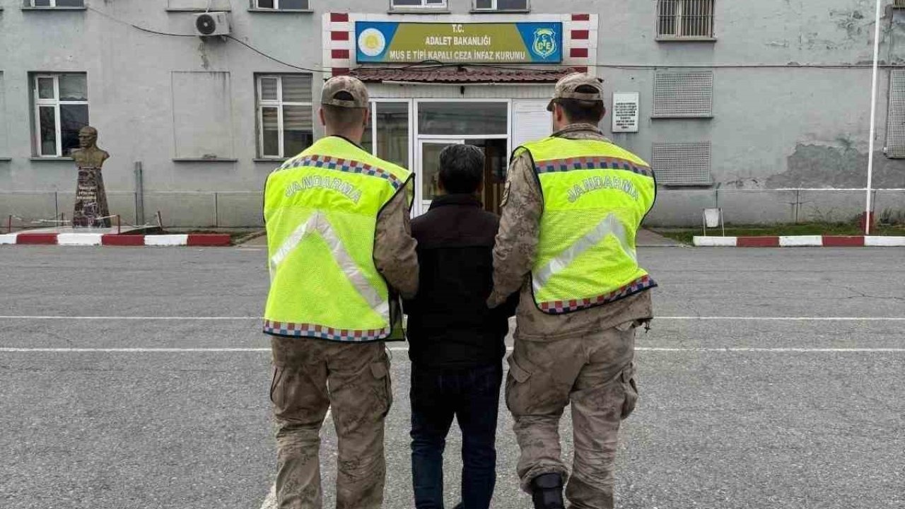 Muş’ta 5 yıl hapisle aranan şahıs yakalandı