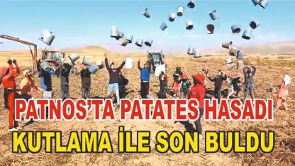 Patnos'ta Patatates Hasadı Son buldu (videolu Haber)