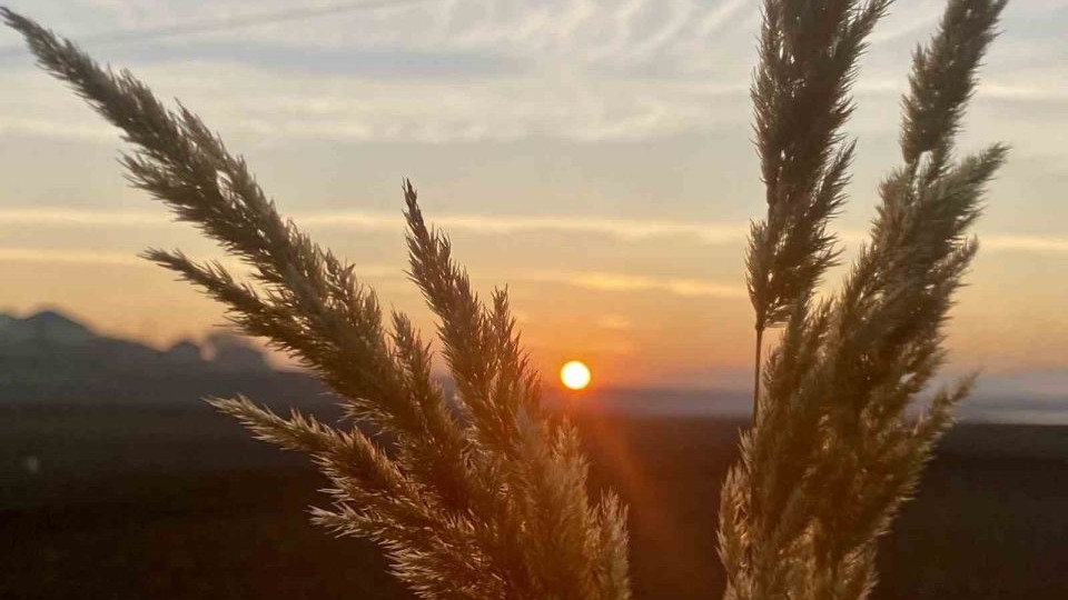 Patnos&#039;ta sonbahar manzaraları mest ediyor