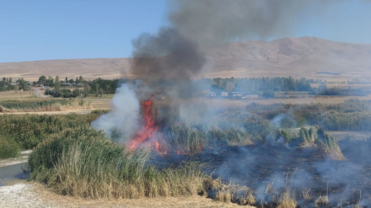 Prof. Dr. Lokman Aslan: &quot;Sulak alanlar tabiatın rahimleridir&quot;