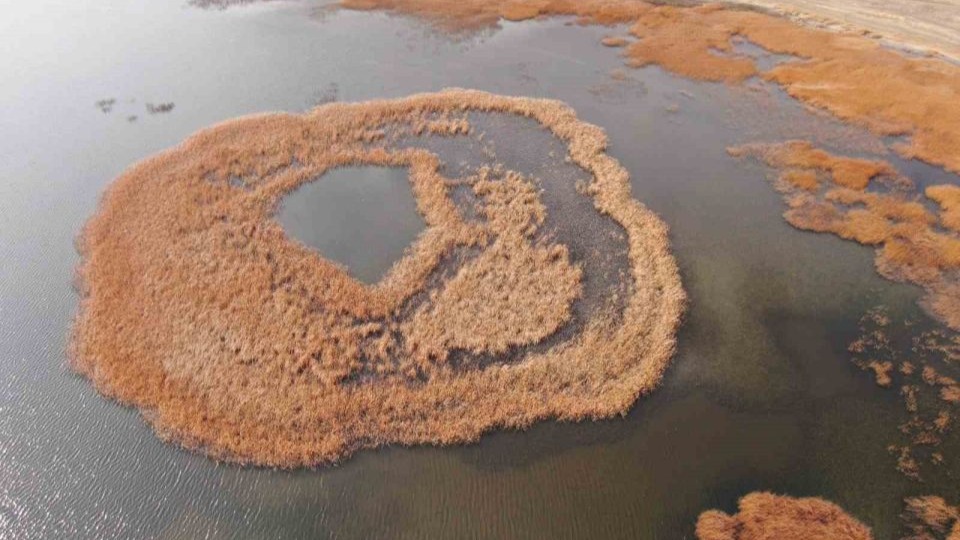 Van’da tarih ve doğa buluşması: Sonbaharın son haftasında kartpostallık manzaralar oluştu