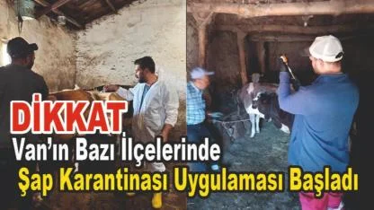 Van’ın Bazı İlçelerinde Şap Karantinası Uygulaması Başladı