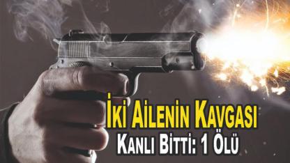 Vanlı İki Ailenin Kavgası Kanlı Bitti: 1 Ölü