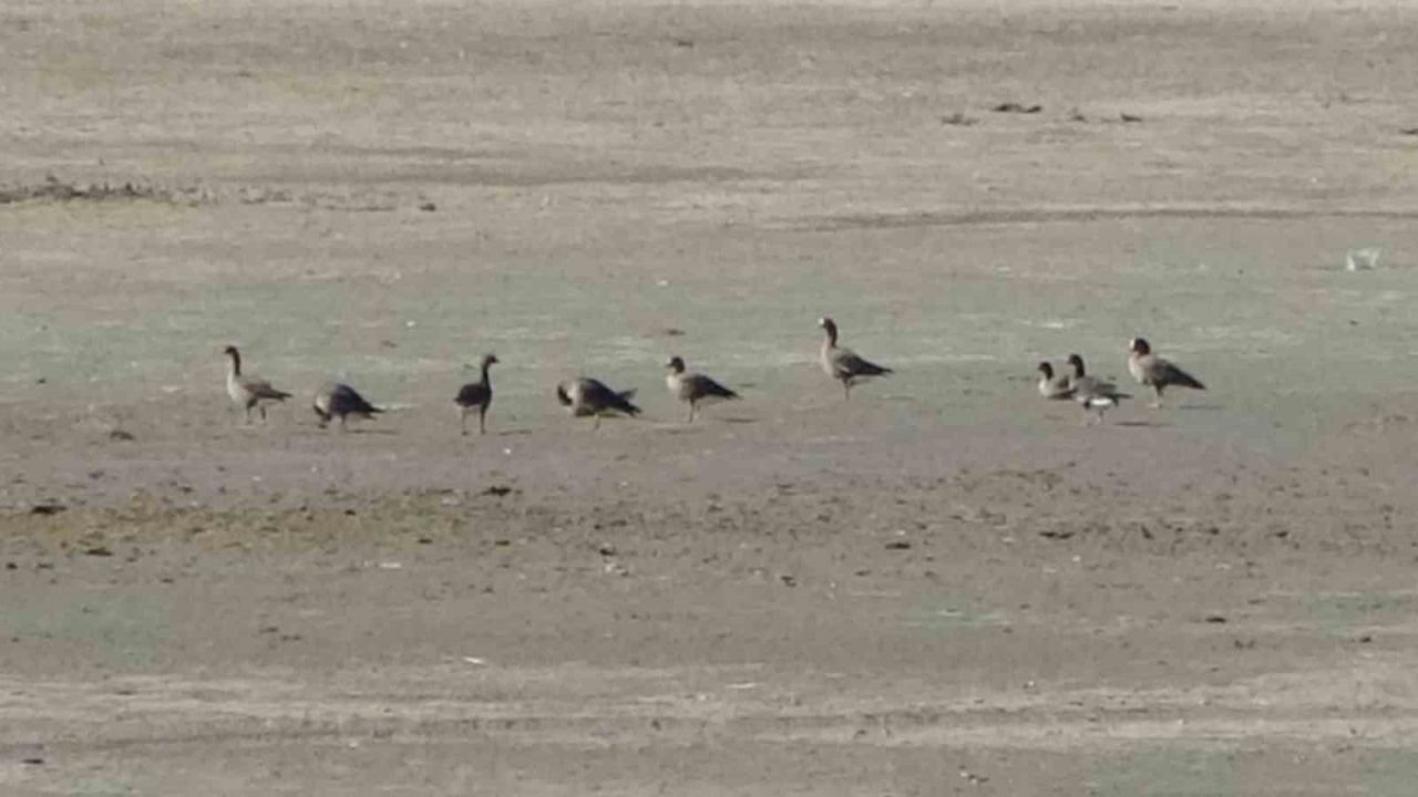 Zorlu göçün durağı Erçek Gölü