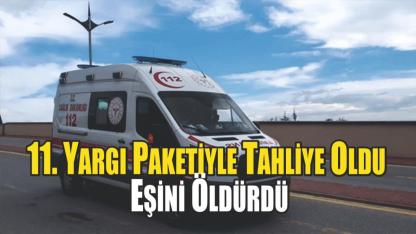 11. Yargı Paketiyle Tahliye Oldu, Eşini Öldürdü