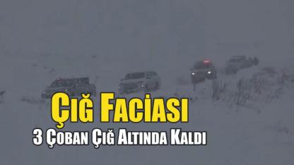 3 Çoban Çığ Altında Kaldı