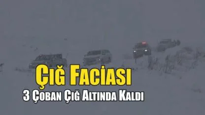 3 Çoban Çığ Altında Kaldı