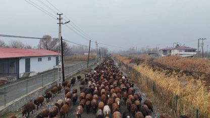 Göçerler, zorlu yolculuğun ardından Iğdır’a ulaştı