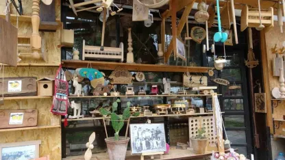 Yarım asırdır ağaçlara şekil veriyor