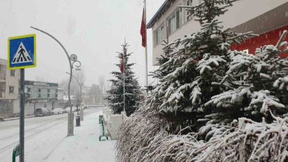 Van'ın Başkale ilçesi beyaza büründü
