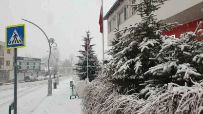 Van'ın Başkale ilçesi beyaza büründü