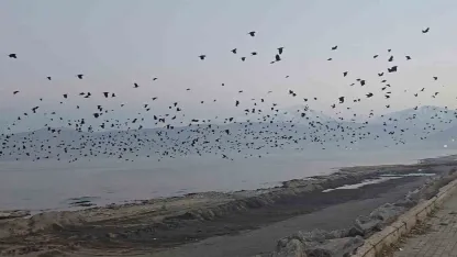 Bitlis'in Tatvan ilçesi sahilinde gökyüzünde sıra dışı manzara