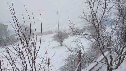 Posof’ta kar yağışı etkili oluyor