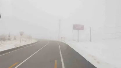 Van Başkale’de sis etkili oldu