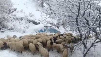 Van Bahçesaray’da kar yağışı