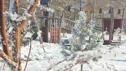 Göle eksi 16 dereceyi gördü, ağaçlar kırağı tuttu