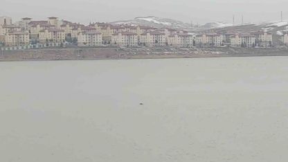 Van'da Sıhke Göleti’ne giren inek telef oldu