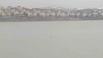 Van'da Sıhke Göleti’ne giren inek telef oldu