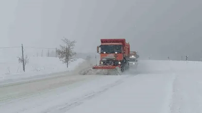 Van’da 266 yerleşim yerinin yolu kapalı