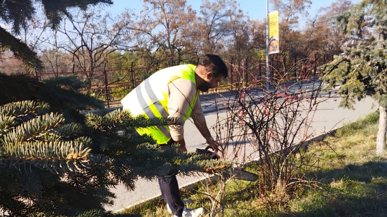 Ağrı’da Kent Genelinde Ağaç ve Çalı Budama Çalışması