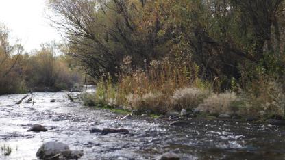 Ağrı’da kırağıyla başlayan gün, güneşle birlikte güzelleşti