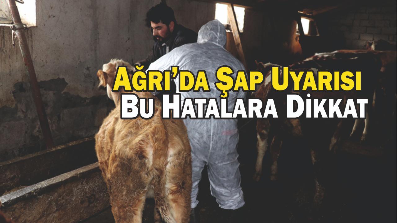 Ağrı’da Şapla Mücadele Hızlandı