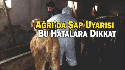 Ağrı’da Şapla Mücadele Hızlandı